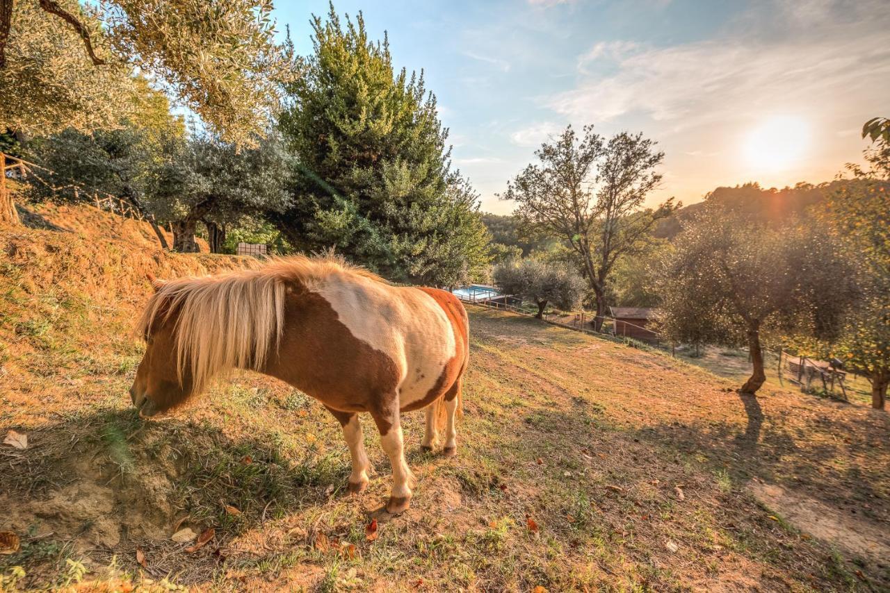 Alpaca Country House Pontedera Exterior photo